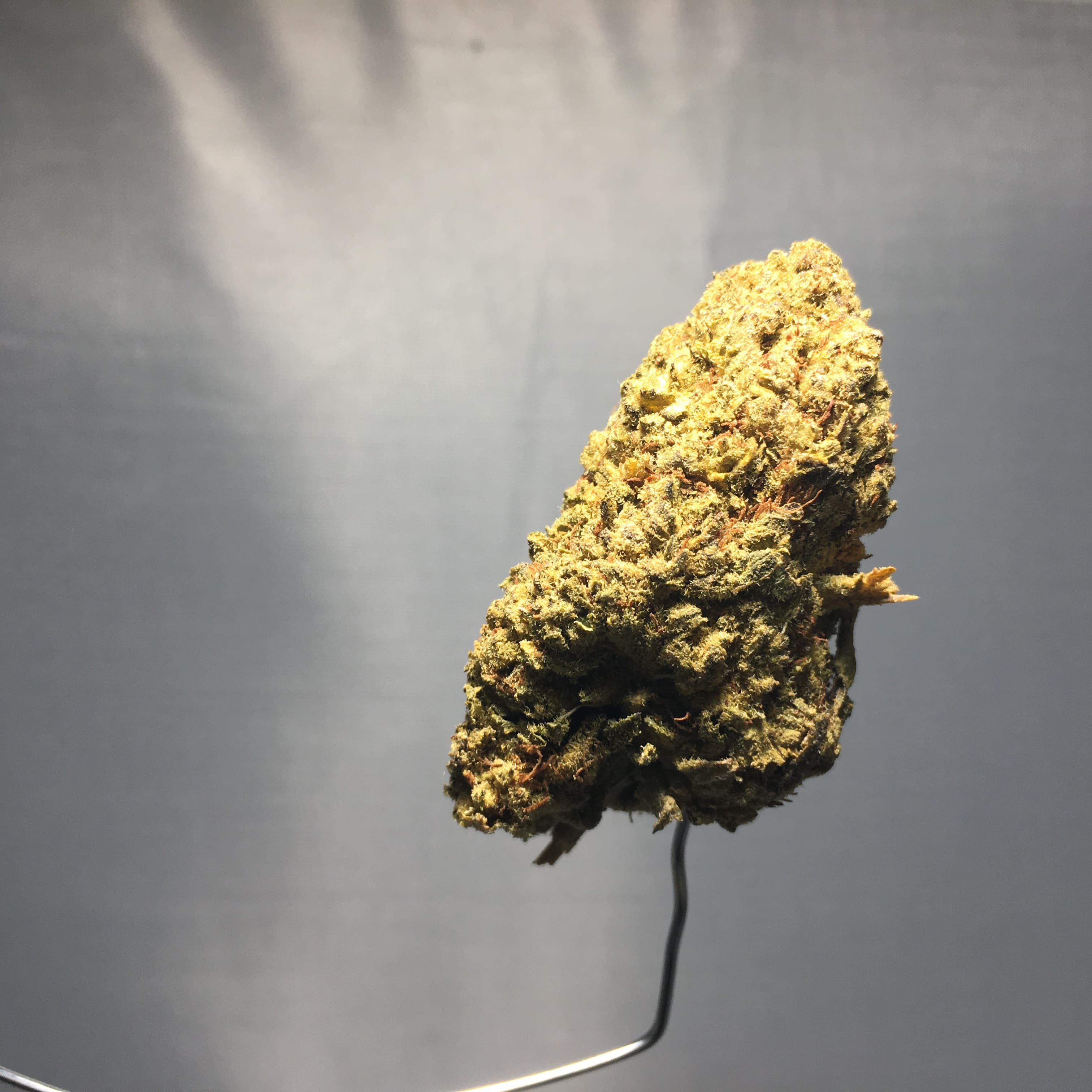 Lemon Cherry Dosilato